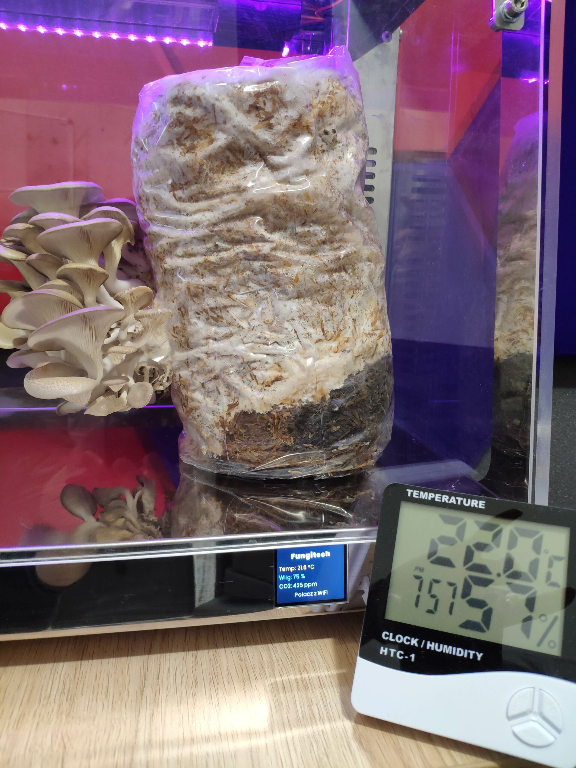 growbox polski producent Kraków