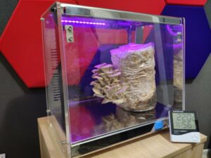 growbox fungitech1 fruit muschroom chamber growing